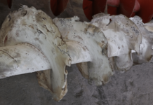 źródłowe przyczyny awarii RCM2